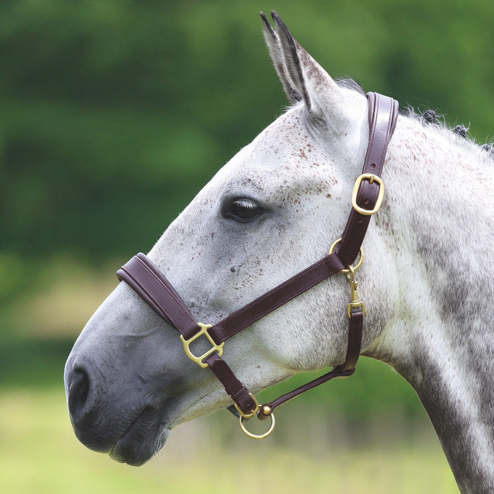 Velociti GARA Leather Travel Headcollar