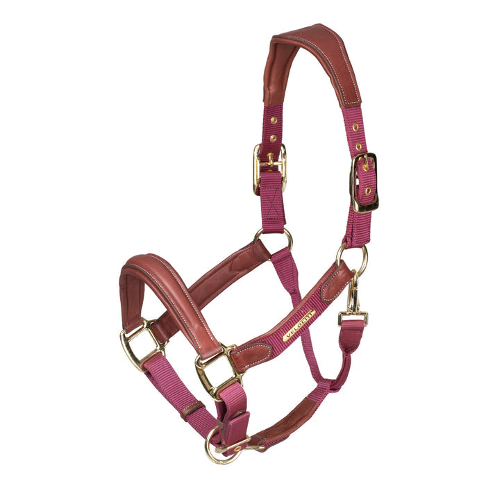 Velociti Lusso Padded Leather Halter with Breakaway