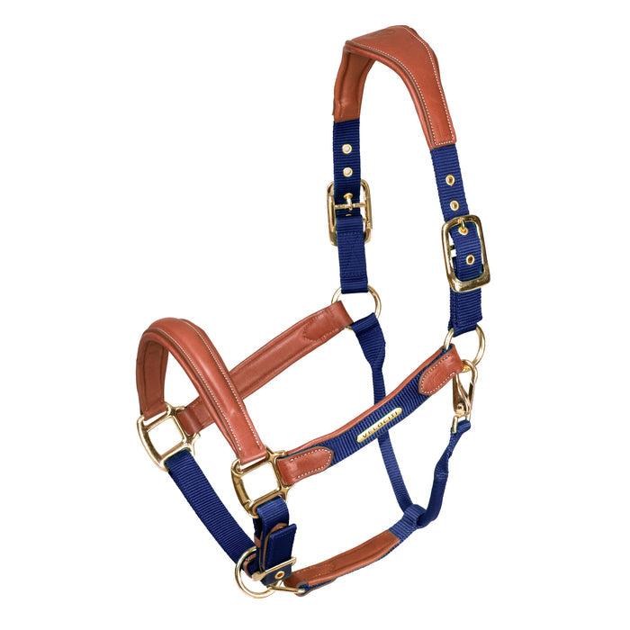 Velociti Lusso Padded Leather Halter with Breakaway