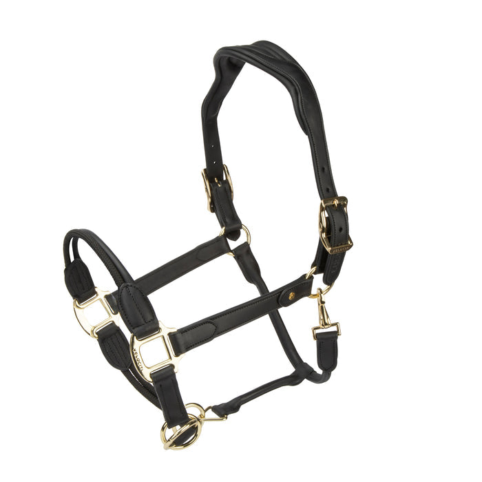 Velociti Lusso Soria Leather Headcollar