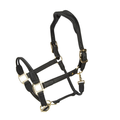 Velociti Lusso Soria Leather Headcollar