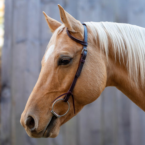 Velociti One Ear Headstall with Rawhide Knotting