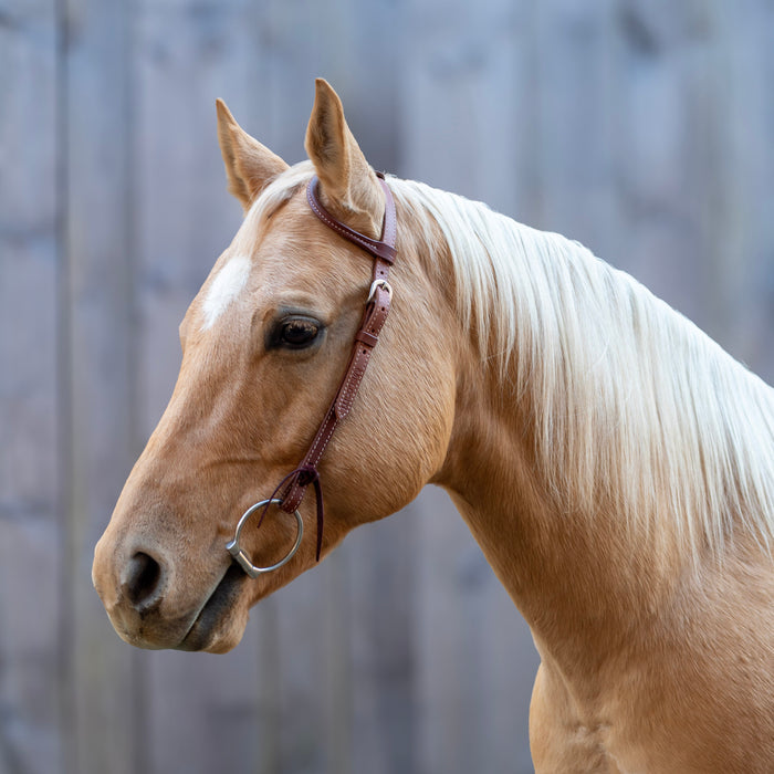 Velociti One Ear Headstall with Rawhide Knotting
