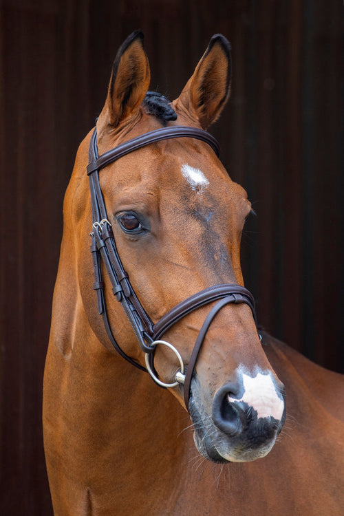 Velociti Padded Raised Flash Bridle